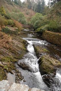 Garden no: 4 on the welsh journey - I get to Bodnant