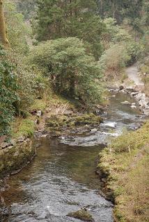 Garden no: 4 on the welsh journey - I get to Bodnant