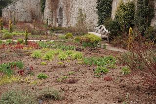 Garden no: 4 on the welsh journey - I get to Bodnant