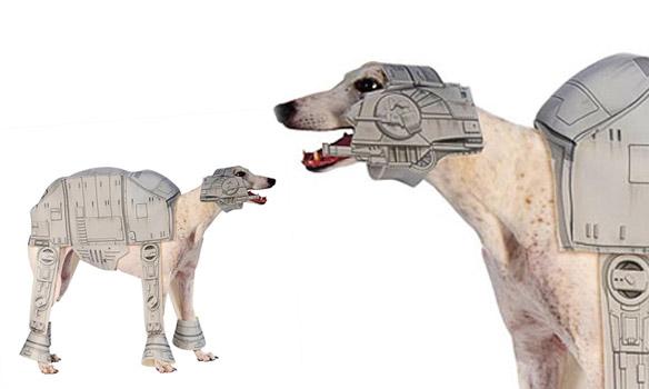 DOGS Dressed in Star Wars Costumes All Year 'Round!