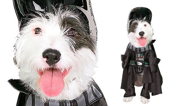 DOGS Dressed in Star Wars Costumes All Year 'Round!