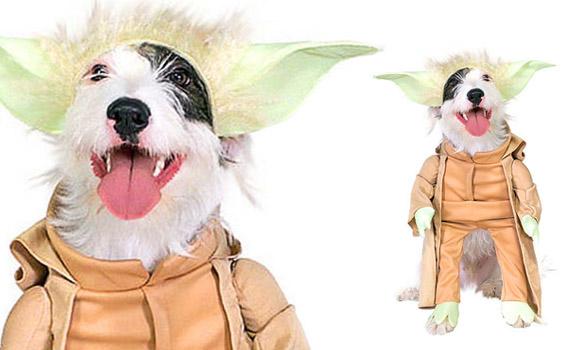 DOGS Dressed in Star Wars Costumes All Year 'Round!