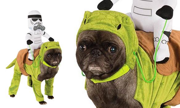 DOGS Dressed in Star Wars Costumes All Year 'Round!