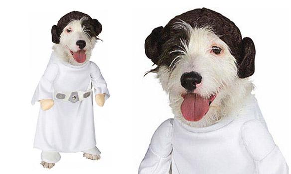 DOGS Dressed in Star Wars Costumes All Year 'Round!