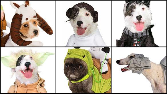 DOGS Dressed in Star Wars Costumes All Year 'Round!