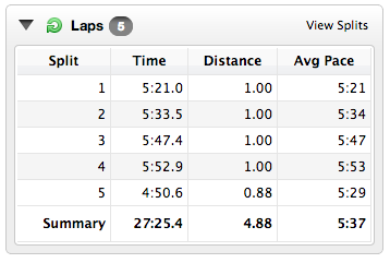 Race Report: Spring Trio 5k 2013