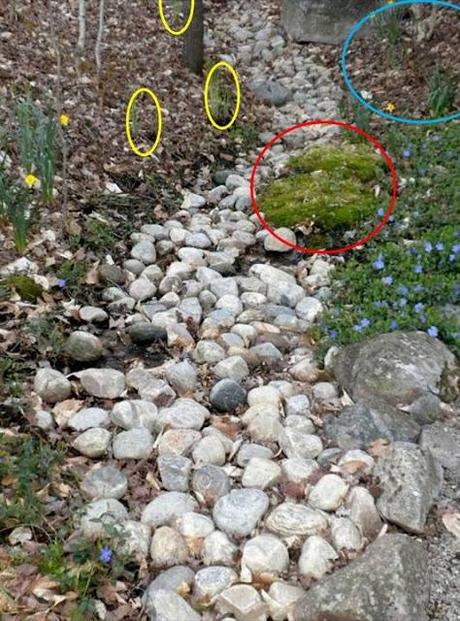 DRY CREEK BED - part 2 of 2