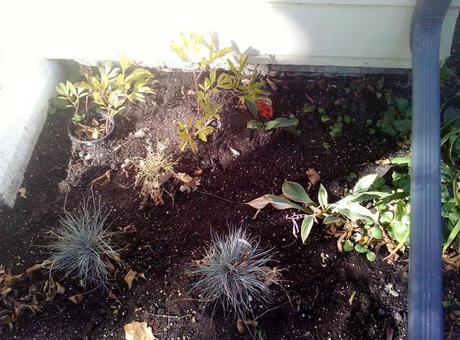 OVERWINTERING MAP II