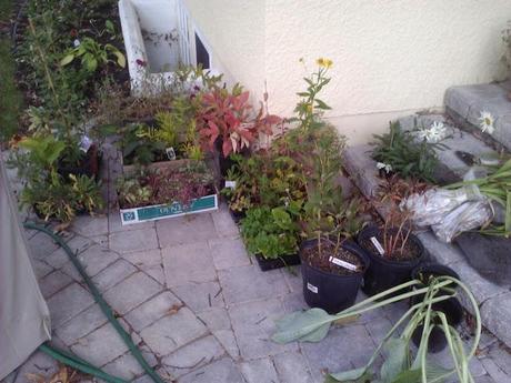 OVERWINTERING MAP II