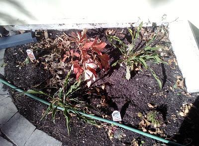 OVERWINTERING MAP II