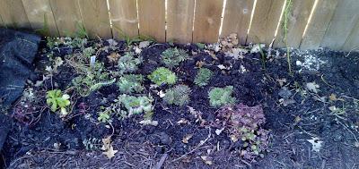 OVERWINTERING MAP II