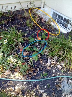 OVERWINTERING MAP II