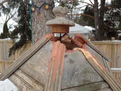 NATURE NOTES - new wildlife feeder