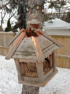 NATURE NOTES - new wildlife feeder