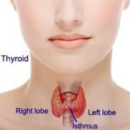 What You Need To Learn about Thyroid Cancer