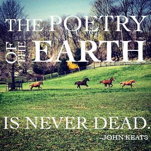 THE POETRY OF THE EARTH IS NEVER DEAD