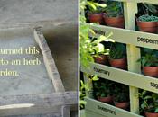 Make Herb Garden from Pallet