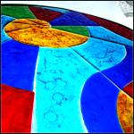 Nautilus fused panel