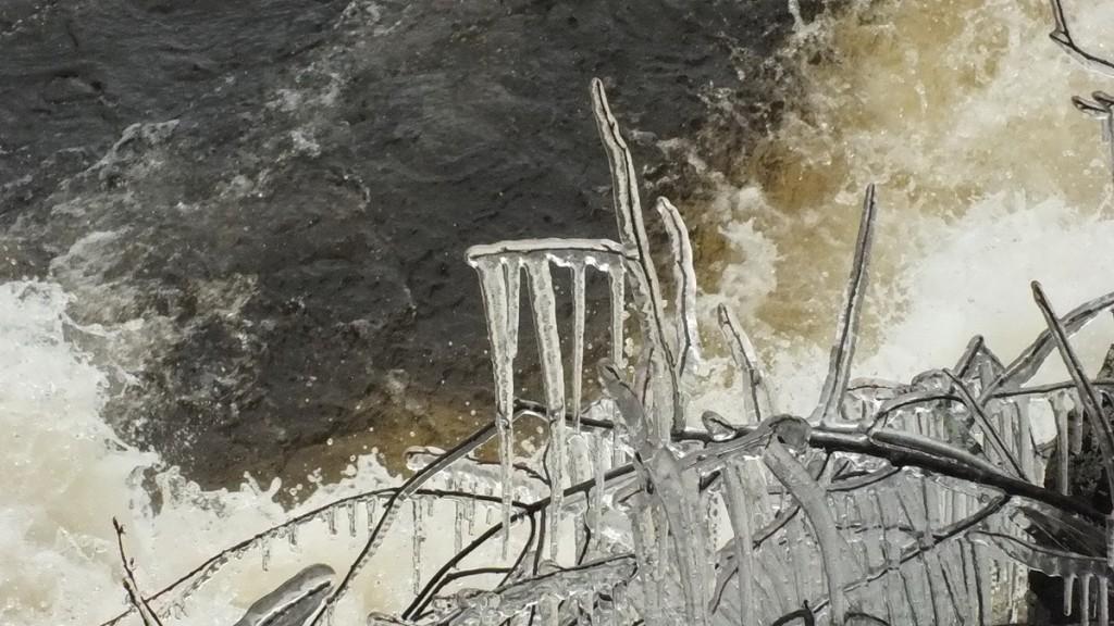 Marsh's Falls flooding - icicles above raging water - Oxtongue river  - April 20 2013