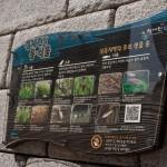 Interpretive panel describing plants, birds and fish in the restored Cheonggyecheon Stream