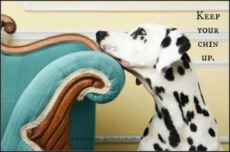 Saving Lives 579754_560866980620904_1997549452_n