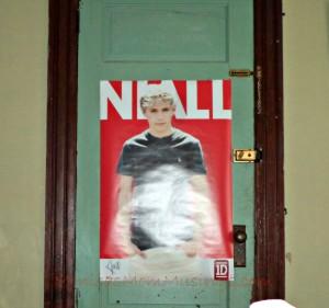 Pin the heart on Niall