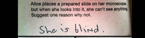 Oh sure, laugh at this kid's answer to this test question. But really ... it does make some deductive sense. You're just too old now to see it.