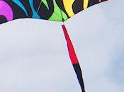 Love First Kite: Pizza Pente Oklahoman's High-Flying Obsession