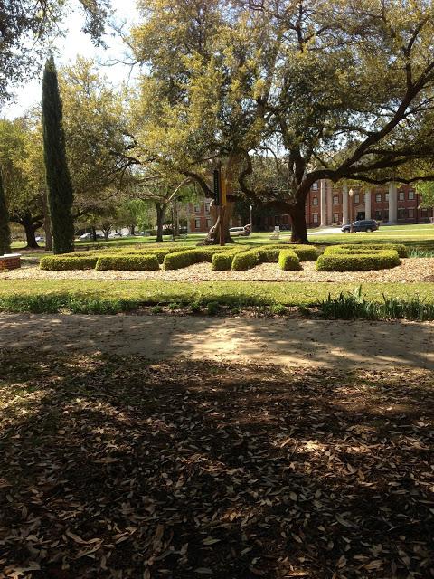 Texas College Tour Part 2: Baylor University!