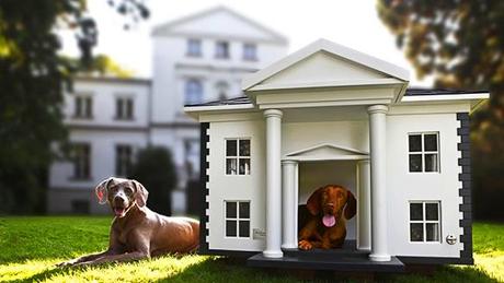 SEE the Most EXPENSIVE DOG Mansions in the World!