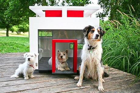 SEE the Most EXPENSIVE DOG Mansions in the World!