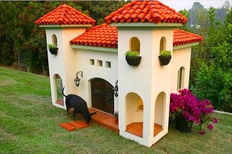 SEE the Most EXPENSIVE DOG Mansions in the World!