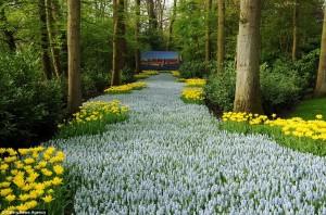 The worldâs largest garden with over seven million flowers