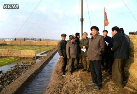 DPRK Cabinet Premier Pak Pong Ju (2nd R) tours an agricultural site in South Hwanghae Province (Photo: KCNA)