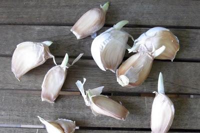 Garlic Day