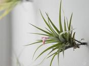 Dwell Green Gift Guide: Part