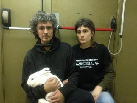 Femare Green Hill Animal Rights Activists Break into Laboratory in Milan and Ruin Research