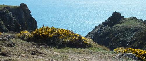 A beautiful blue sea at Kynance