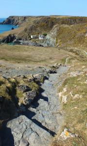 On the coastal path near Kynance