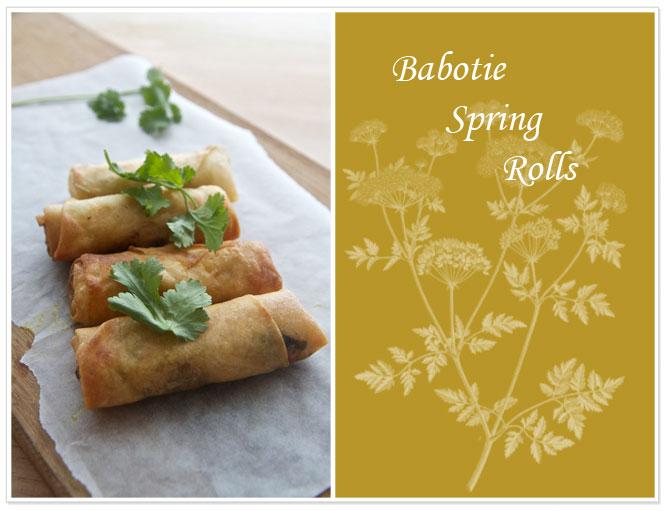 Babotie Spring Rolls