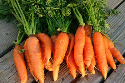 Carrot Cake Smoothie? You Can Thank Davida!