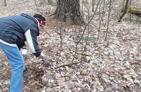 Jean inspects Great Horned Owl pellet - Thicksons Woods - Whitby - Ontario