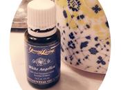 Essential Oils Just Getting Started