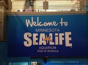Wordless Wednesday: Life Minnesota Aquarium! @SeaLifeMN