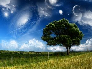 dreams