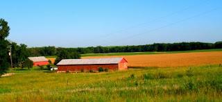 The Problem of Undertheorized Agrarianism in Most Actually Argued Localism