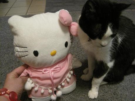 Moe & Hello Kitty