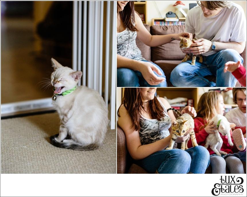 Kittehs! A Family Engagement Shoot in Milton Keynes