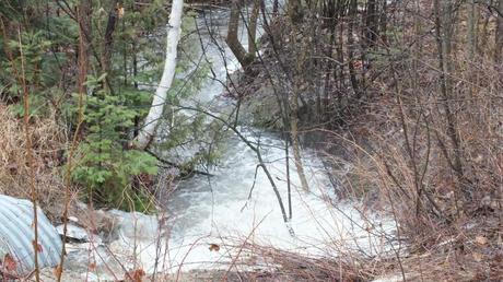 flood waters from stream - oxtongue lake - ontario april 19 2013