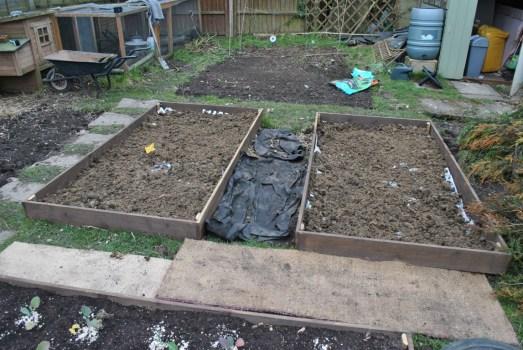 Raised beds